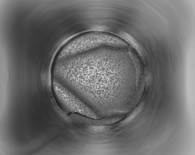 X0000094790940200711301603