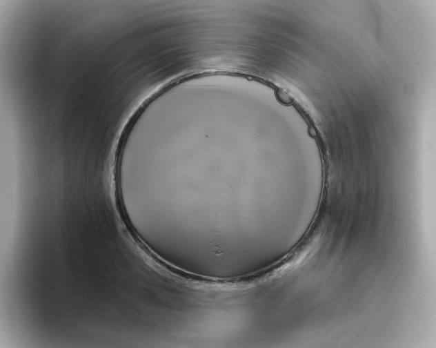 X0000094790941200711301603