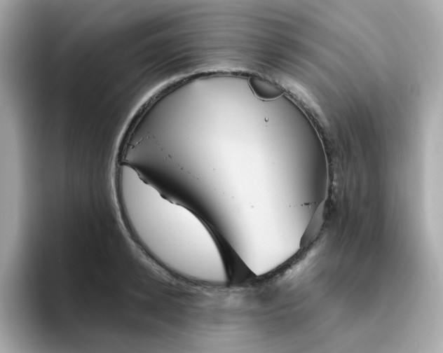 X0000094790942200711301603