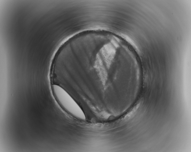 X0000094790943200711301603