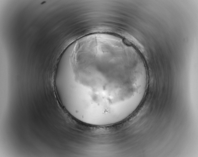 X0000094790945200711301603