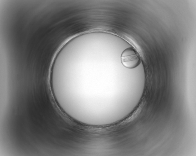 X0000094790948200711301603