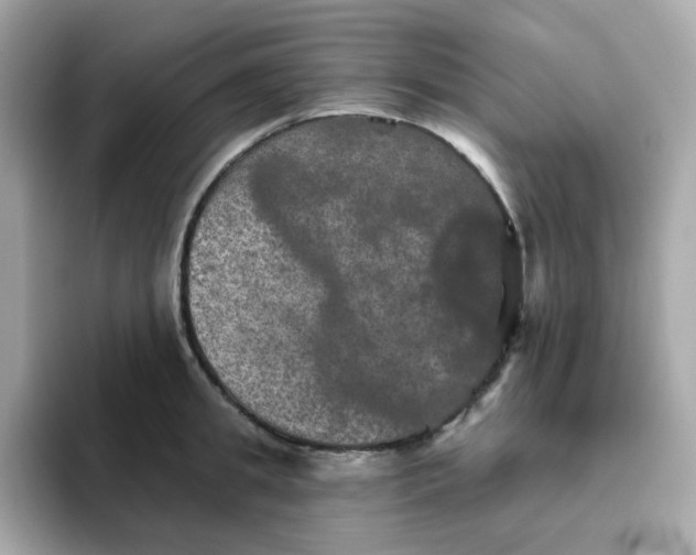 X0000094790949200711301603