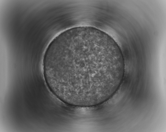 X0000094790950200711301603