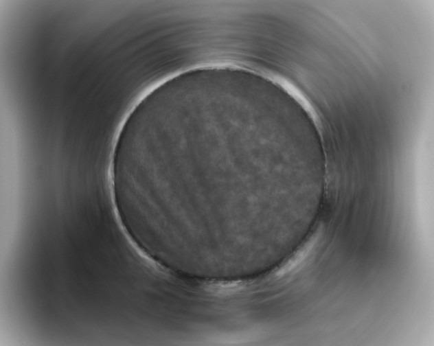 X0000094790951200711301603