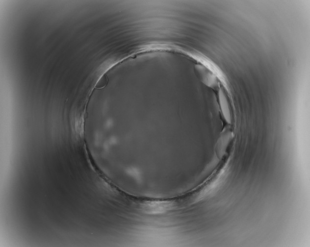 X0000094790953200711301603