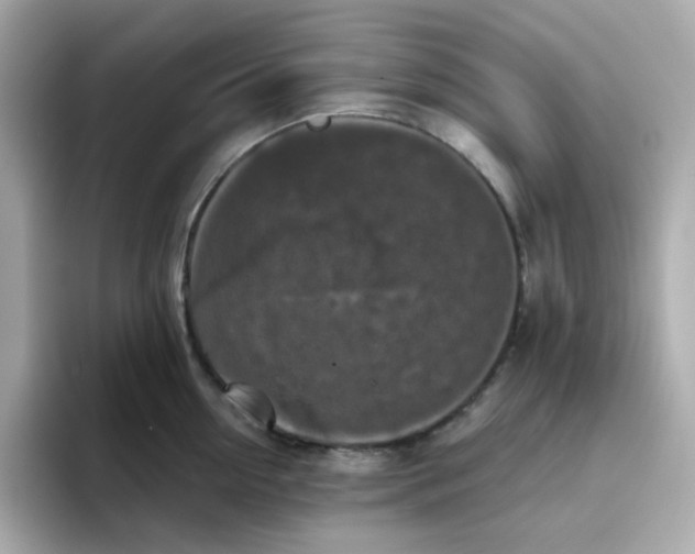 X0000094790954200711301603