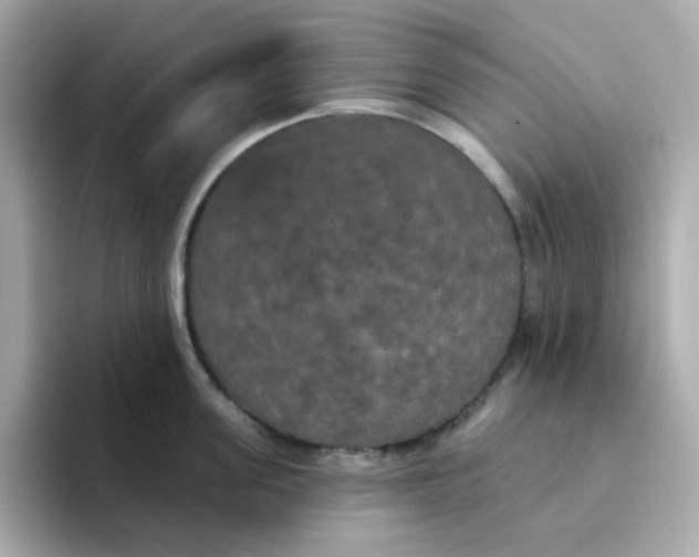 X0000094790955200711301603