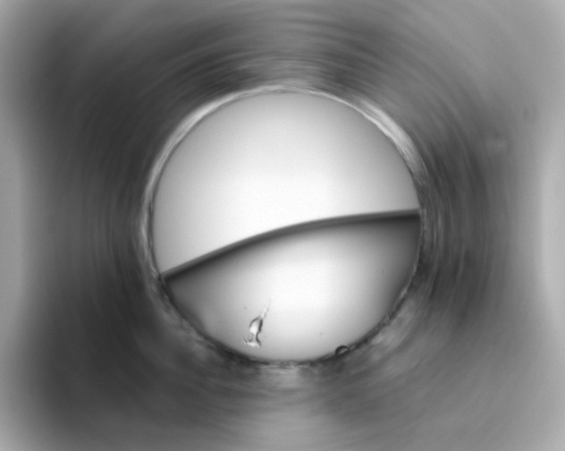 X0000094790956200711301603