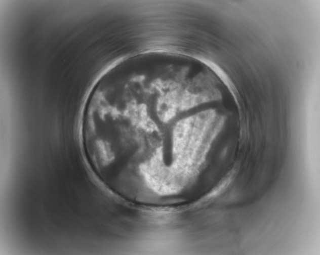 X0000094790957200711301603