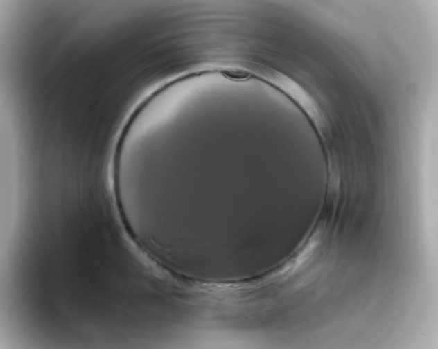 X0000094790958200711301603