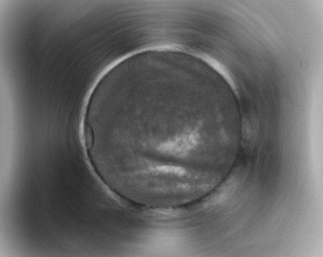 X0000094790959200711301604