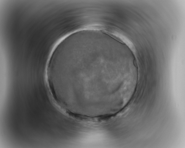 X0000094790960200711301604