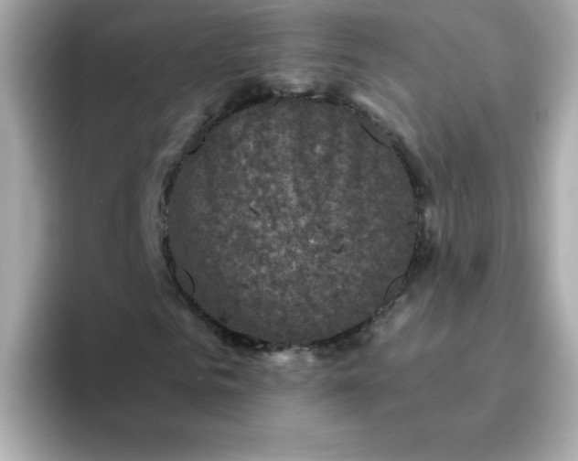 X0000094790961200711301603