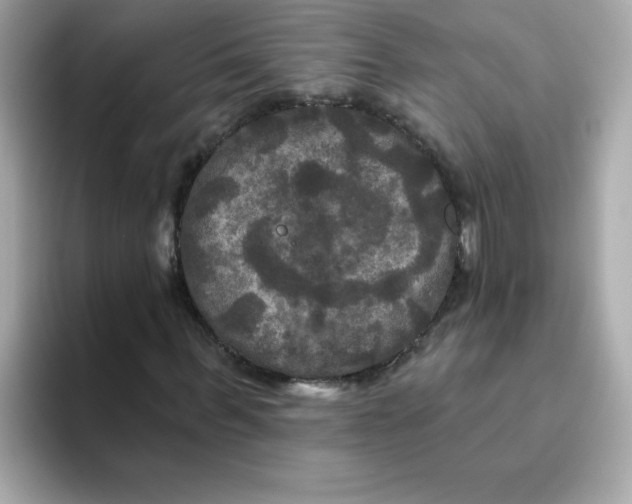 X0000094790963200711301603