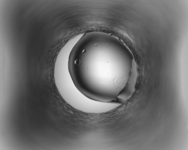 X0000094790965200711301603