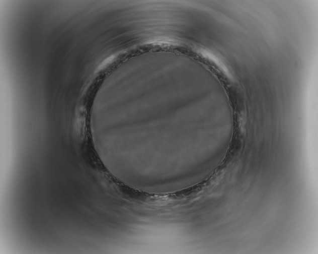 X0000094790968200711301603