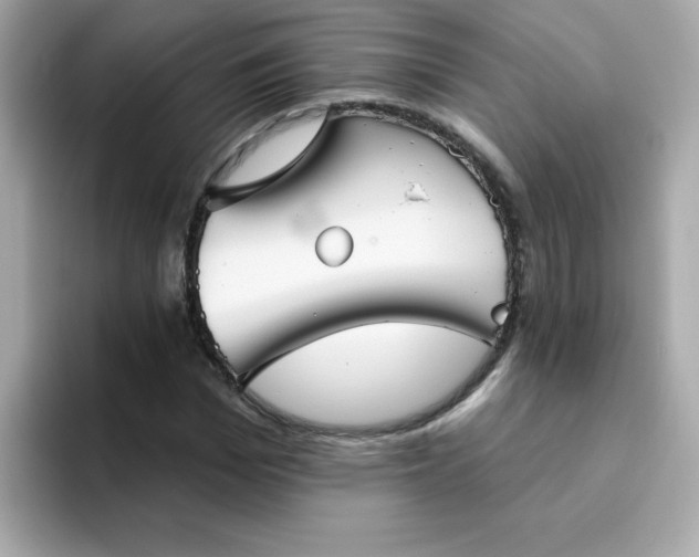 X0000094790969200711301603