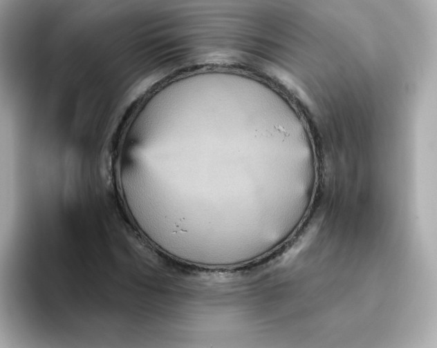 X0000094790970200711301603