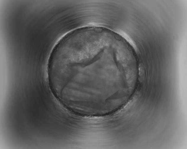 X0000094790972200711301603