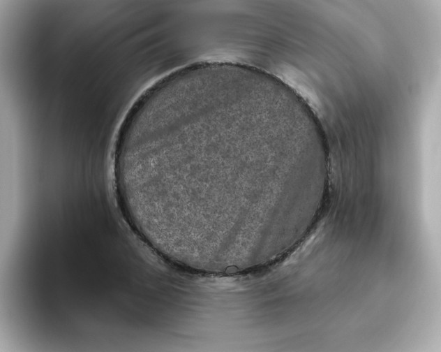 X0000094790976200711301603