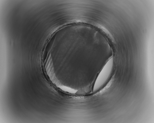 X0000094790977200711301603