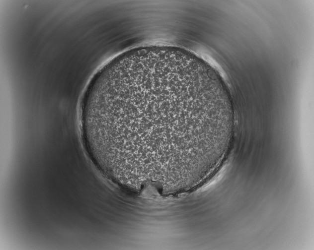 X0000094790981200711301603