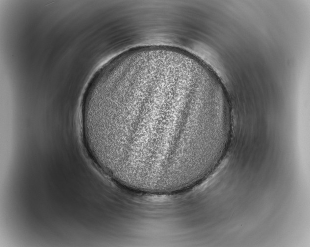 X0000094790982200711301603