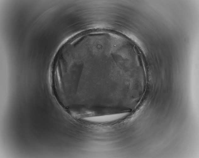 X0000094790983200711301603