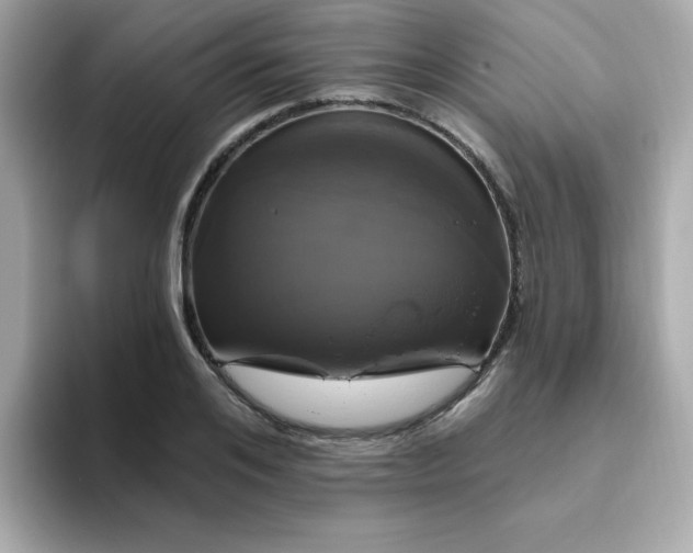 X0000094790984200711301603