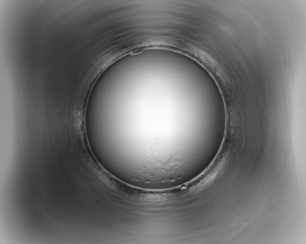 X0000094790985200711301603