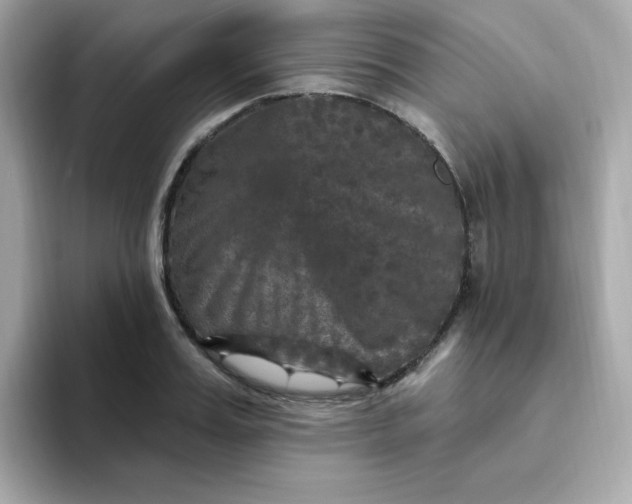 X0000094790987200711301603