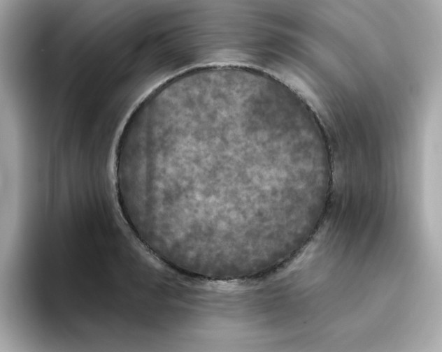 X0000094790990200711301603