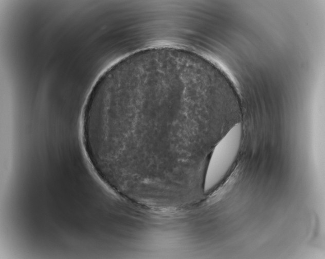 X0000094790991200711301602