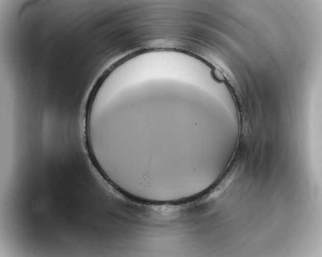 X0000094790992200711301602