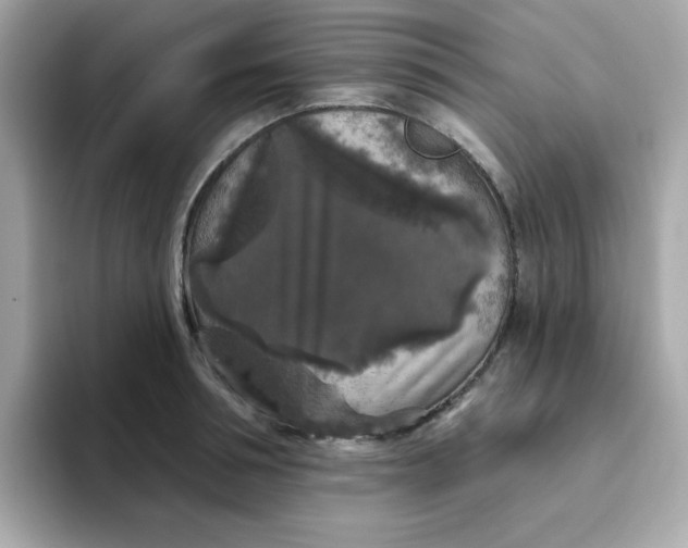 X0000094790994200711301602