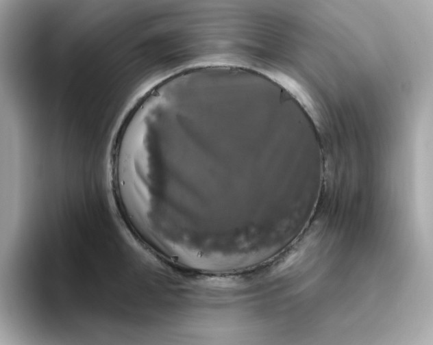 X0000094790998200711301602