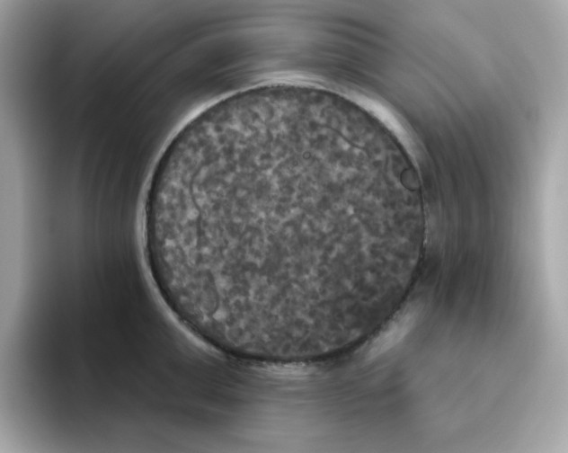 X0000094790999200711301602