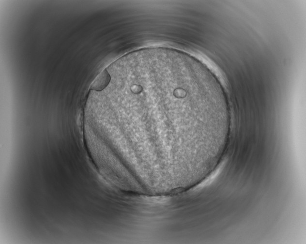 X0000094791001200711301602