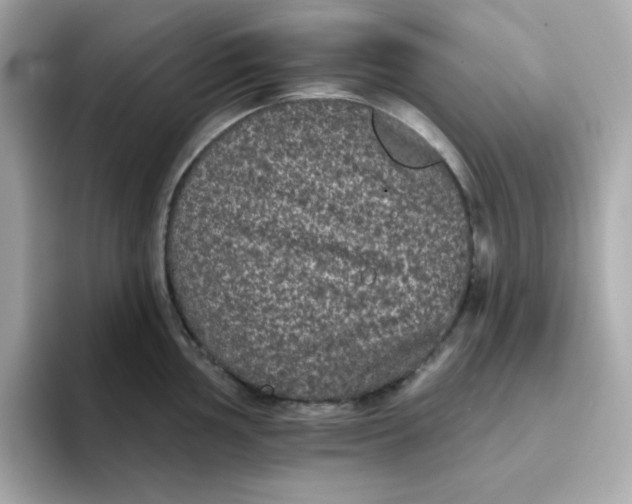 X0000094791002200711301602