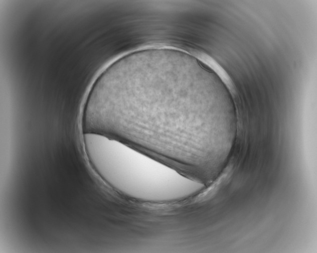 X0000094791004200711301602