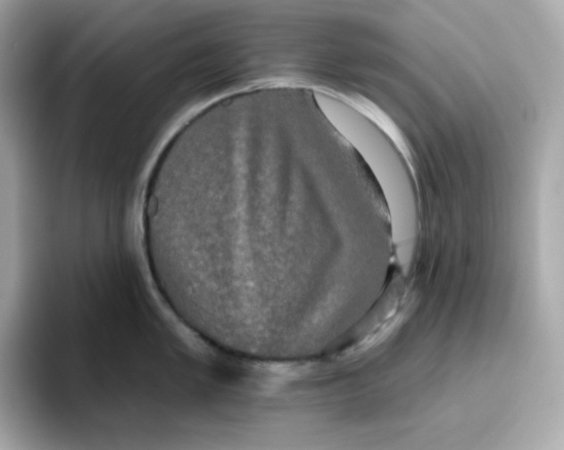 X0000094791005200711301602