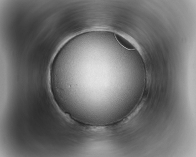 X0000094791006200711301602