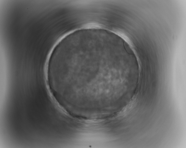 X0000094791008200711301602