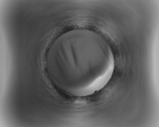 X0000094791009200711301602