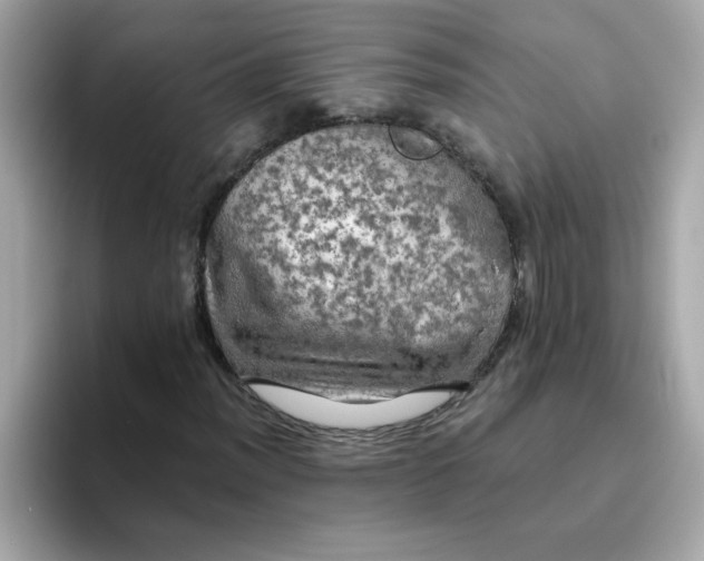 X0000094791012200711301602