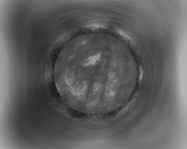 X0000094791014200711301602