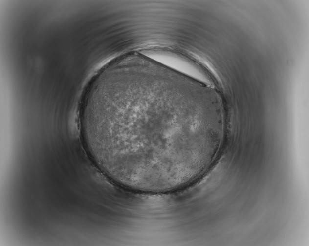 X0000094791018200711301602