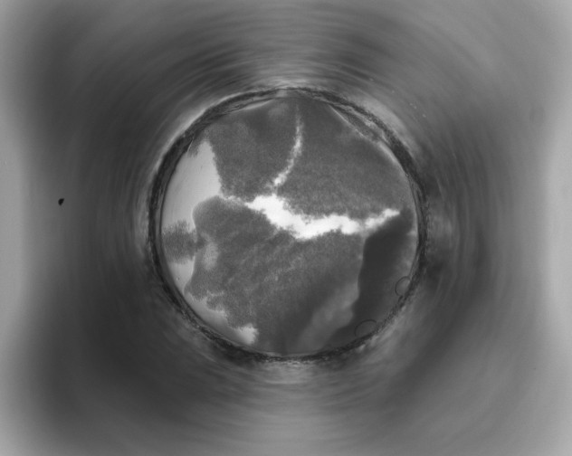 X0000094791023200711301602