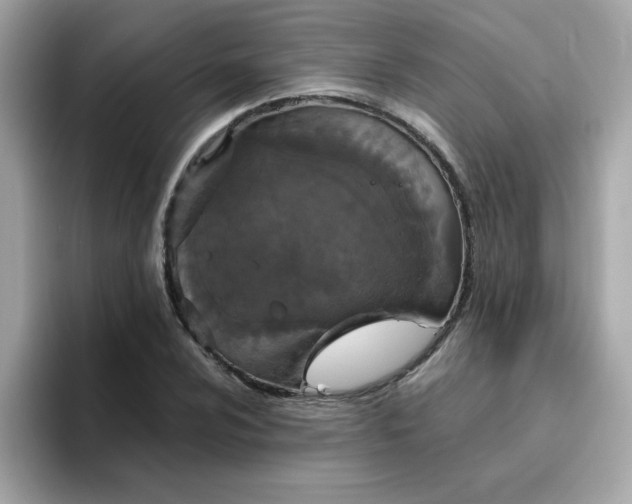 X0000094791024200711301602